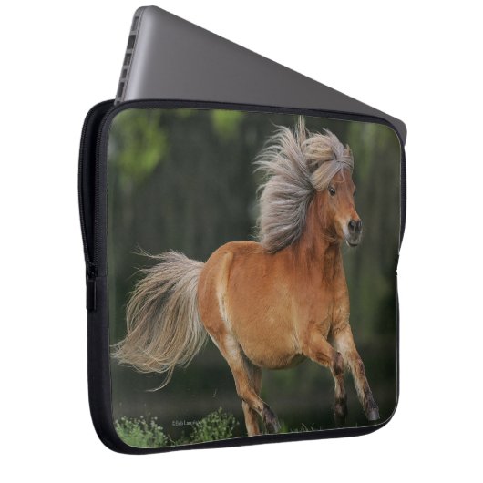 Miniaturpferdebetrieb Laptopschutzhülle (Vorne Rechts)