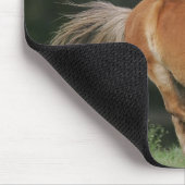 Miniaturpferdebetrieb Mousepad (Ecke)