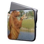 Miniaturpferdeerrichtung Laptopschutzhülle (Vorderseite Links)