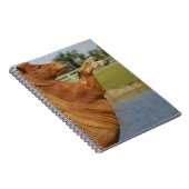 Miniaturpferdeerrichtung Notizblock (Rechte Seite)