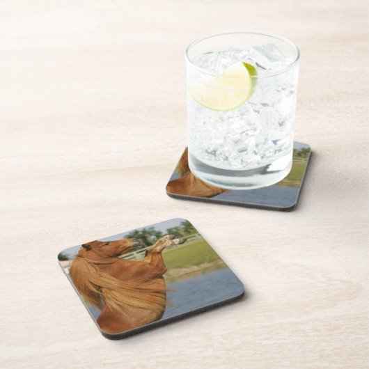 Miniaturpferdeerrichtung Untersetzer (Rechte Seite)