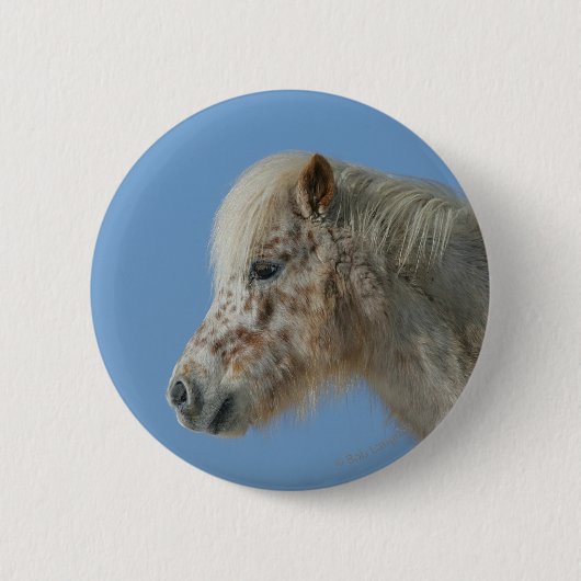 MiniaturpferdeHeadshot Button (Vorderseite)