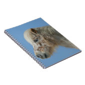 MiniaturpferdeHeadshot Notizblock (Rechte Seite)