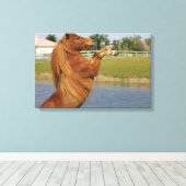 MiniaturPferdezucht Leinwanddruck (Insitu (Holzboden))