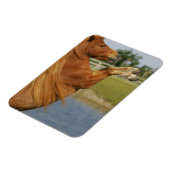 MiniaturPferdezucht Magnet (Linke Seite)