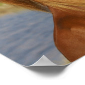 MiniaturPferdezucht Poster (Ecke)