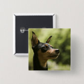 Miniaturpinscher (Button) 2 Button (Vorne & Hinten)