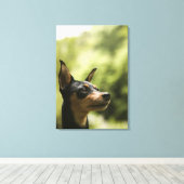 Miniaturpinscher (Button) 2 Leinwanddruck (Insitu (Holzboden))