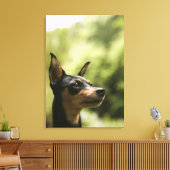 Miniaturpinscher (Button) 2 Leinwanddruck (Insitu (Wohnzimmer))