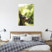 Miniaturpinscher (Button) 2 Leinwanddruck (Insitu (Schlafzimmer))