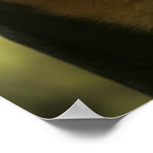 Miniaturpinscher (Button) 2 Poster (Ecke)