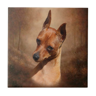 Miniaturpinscher-Keramik-Foto-Fliese Fliese