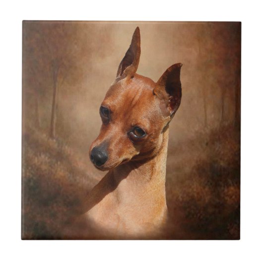 Miniaturpinscher-Keramik-Foto-Fliese Fliese (Vorderseite)