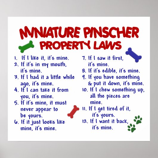 MINIATURPINSCHER PL2 POSTER (Vorne)