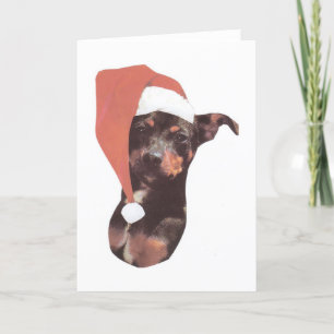 Miniaturpinscher-Weihnachtsmannmütze Feiertagskarte