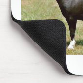 Miniaturpony Stallion Mousepad (Ecke)