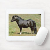 Miniaturpony Stallion Mousepad (Mit Mouse)