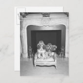 Miniaturpoodles vor Kamin Postkarte (Vorne/Hinten)