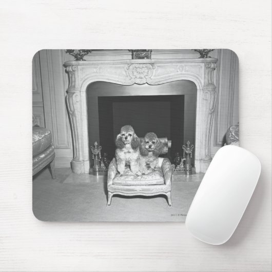 Miniaturpudel, die vor Kamin sitzen Mousepad (Mit Mouse)