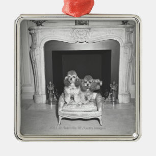 Miniaturpudel, die vor Kamin sitzen Silbernes Ornament