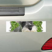 Miniaturschnauzer-Autoaufkleber Autoaufkleber (Auf Auto)