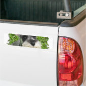 Miniaturschnauzer-Autoaufkleber Autoaufkleber (Auf Lkw)