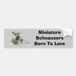 Miniaturschnauzer-Autoaufkleber Autoaufkleber