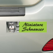 Miniaturschnauzer-Foto Autoaufkleber (Auf Auto)