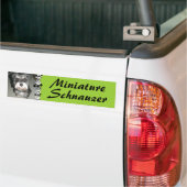 Miniaturschnauzer-Foto Autoaufkleber (Auf Lkw)