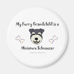 MiniaturSchnauzer Magnet