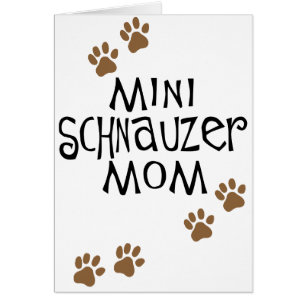 Miniaturschnauzer-Mama