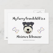 MiniaturSchnauzer Postkarte (Vorne/Hinten)
