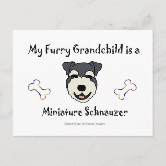 MiniaturSchnauzer Postkarte (Vorderseite)