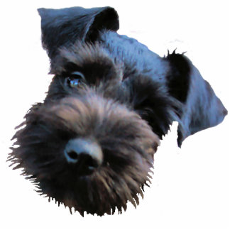 Miniaturschnauzer-Skulptur-Schlüsselanhänger Fotoskulptur Schlüsselanhänger