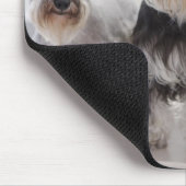 Miniaturschnauzer stehend am Tisch Mousepad (Ecke)
