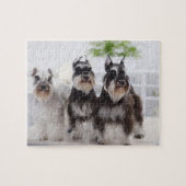 Miniaturschnauzer stehend am Tisch Puzzle (Horizontal)
