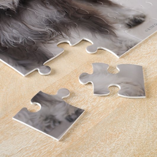 Miniaturschnauzer stehend am Tisch Puzzle (Seite)