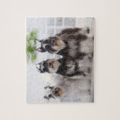 Miniaturschnauzer stehend am Tisch Puzzle (Vertikal)