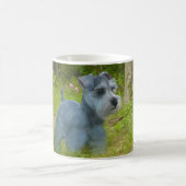 Miniaturschnauzer-Tasse Kaffeetasse (Mittel)