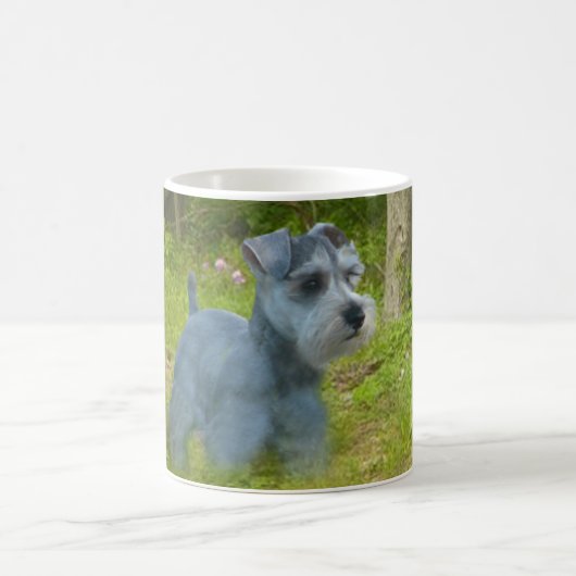 Miniaturschnauzer-Tasse Kaffeetasse (Mittel)