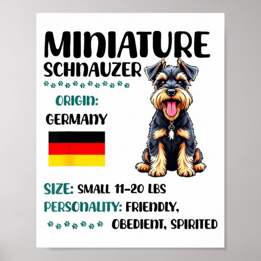 Miniaturschnauzer Ursprung Lustiger Mini-Schnauzer Poster (Vorne)