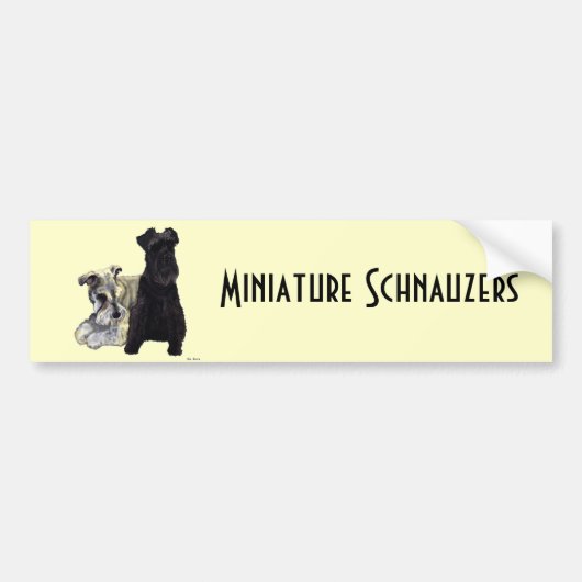 MiniaturSchnauzers - Autoaufkleber (Vorne)