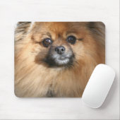 MiniaturSpitz-Mausunterlage Mousepad (Mit Mouse)
