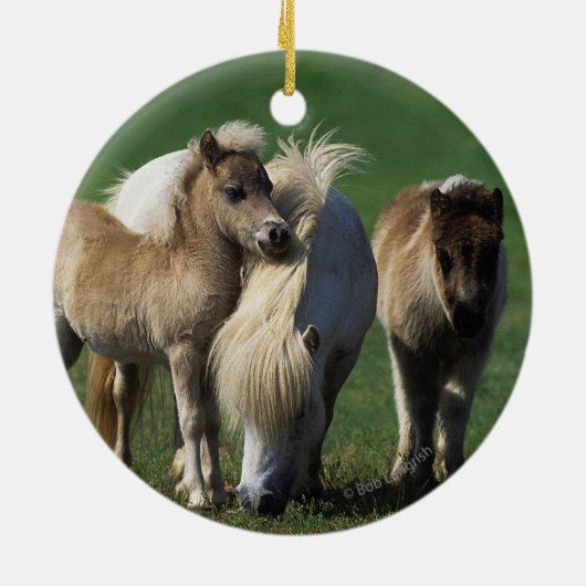 Miniaturstute u. Fohlen 1 Keramikornament (Hinten)