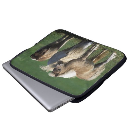 Miniaturstute u. Fohlen 1 Laptopschutzhülle (Vorne Knopf)