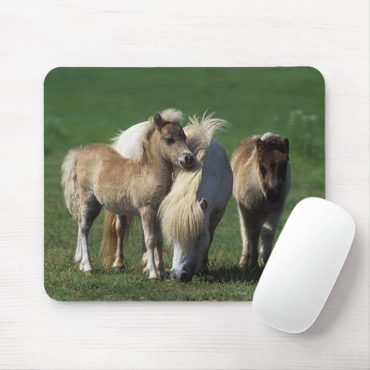 Miniaturstute u. Fohlen 1 Mousepad (Mit Mouse)