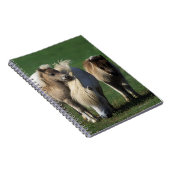 Miniaturstute u. Fohlen 1 Notizblock (Rechte Seite)