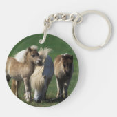 Miniaturstute u. Fohlen 1 Schlüsselanhänger (Rückseite)