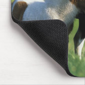 Miniaturstute u. Fohlen 2 Mousepad (Ecke)