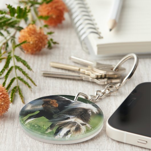 Miniaturstute u. Fohlen 2 Schlüsselanhänger (Vorderseite rechts)